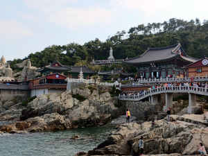 14 Busan