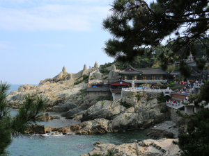 17 Busan