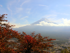 24 Mount Fuji